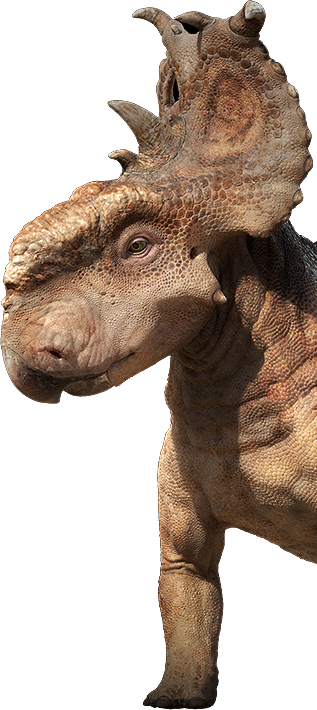 pachyrhinosaurus epic evolution