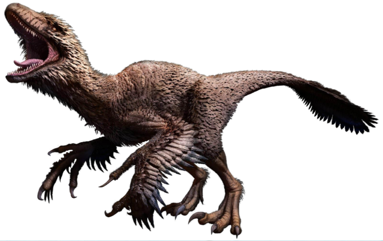 Utahraptor Scan Code » DNA scan codes for the Jurassic World Play App