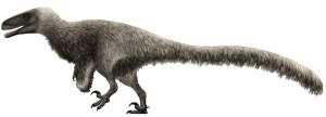 Achillobator
