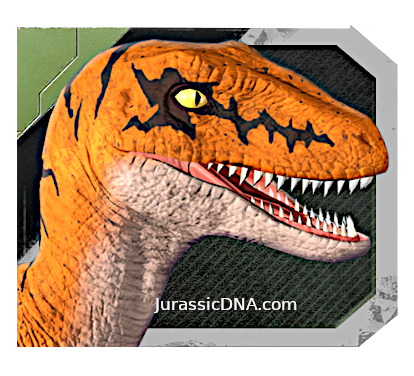 Velociraptor - Trilogy Set - Orange - Jurassic World Rebirth