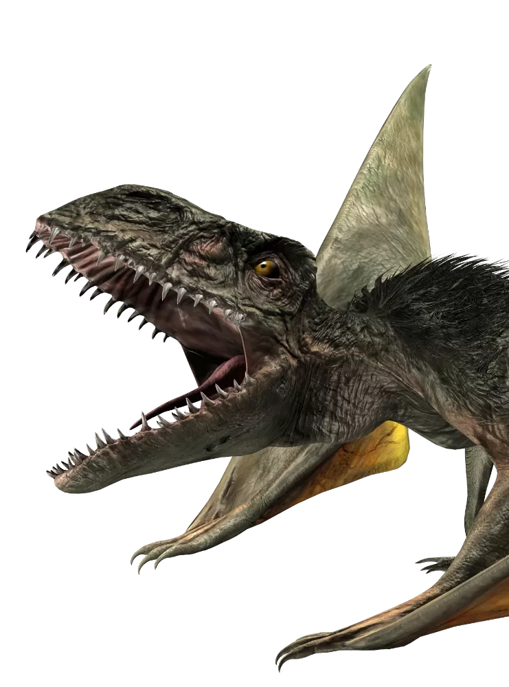 Dimorphodon