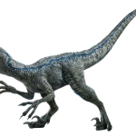 Velociraptor Blue