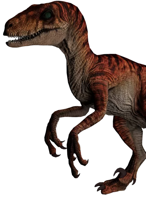 Velociraptor Red & Moto Pursuit Pack » DNA scan codes for the Jurassic World Play App